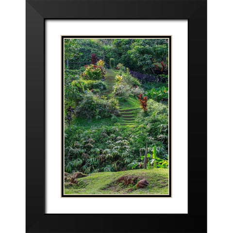 Princeville Botanical Garden-Princeville-Kauai-Hawaii Black Modern Wood Framed Art Print with Double Matting by Engelbrecht, Lisa S.