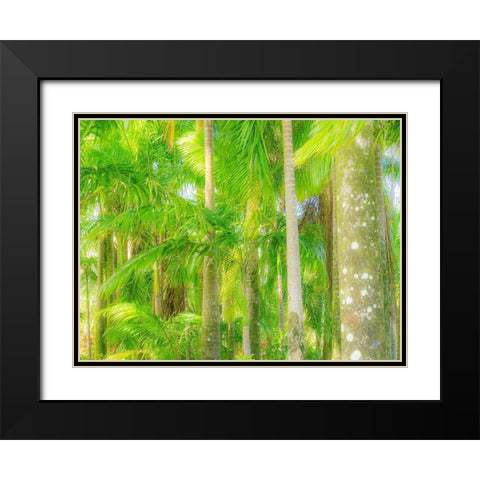 Hawaii-Maui-Road to Hana and the lush tropical Palm Trees Black Modern Wood Framed Art Print with Double Matting by Gulin, Sylvia