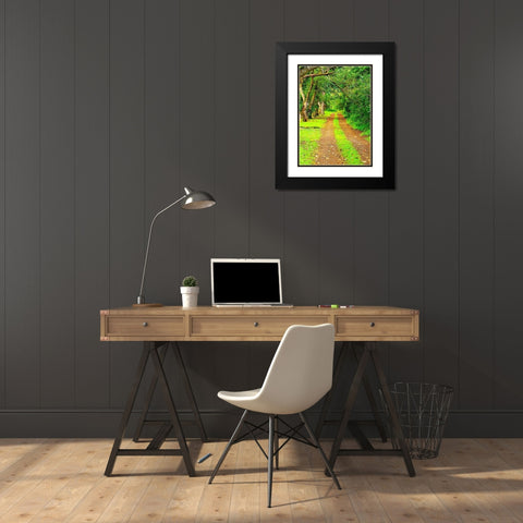 Hawaii-Kauai-gravel tree lined road Black Modern Wood Framed Art Print with Double Matting by Gulin, Sylvia