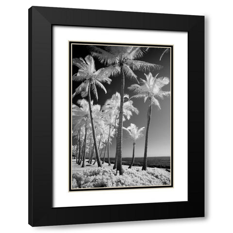 USA-Hawaii-Kauai-Infrared of palm trees of Kauai Black Modern Wood Framed Art Print with Double Matting by Eggers, Terry