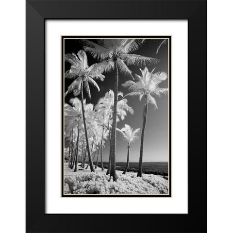 USA-Hawaii-Kauai-Infrared of palm trees of Kauai Black Modern Wood Framed Art Print with Double Matting by Eggers, Terry