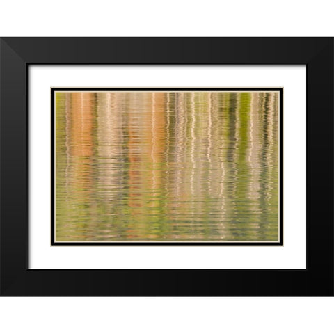 Idaho Fall reflections ripple on Redfish Lake Black Modern Wood Framed Art Print with Double Matting by Paulson, Don