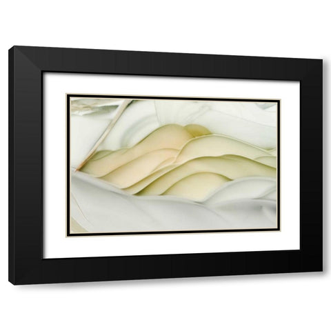 USA, Idaho Close-up of Willow Creek Jasper stone Black Modern Wood Framed Art Print with Double Matting by Kirkland, Dennis