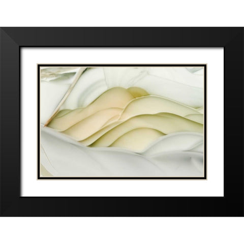 USA, Idaho Close-up of Willow Creek Jasper stone Black Modern Wood Framed Art Print with Double Matting by Kirkland, Dennis