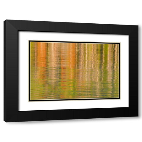 USA, Idaho Reflections on Redfish Lake Black Modern Wood Framed Art Print with Double Matting by Paulson, Don
