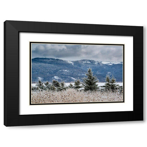 Evergreen trees in winter with Teton Mountains in distance-Driggs-Idaho Black Modern Wood Framed Art Print with Double Matting by Garber, Howie