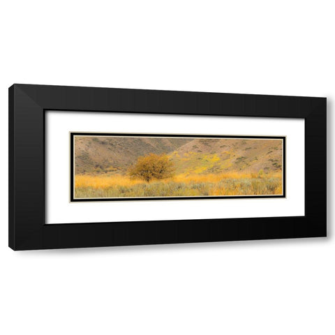 Idaho-Highway 89-Montpelier-Lone tree golden autumn colors Black Modern Wood Framed Art Print with Double Matting by Gulin, Sylvia