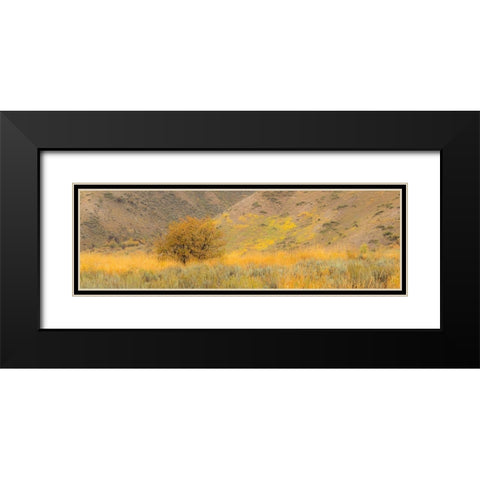 Idaho-Highway 89-Montpelier-Lone tree golden autumn colors Black Modern Wood Framed Art Print with Double Matting by Gulin, Sylvia