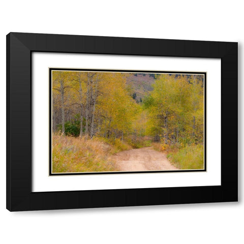 USA-Idaho-Highway 36 west of Liberty dirt road and Aspens in autumn Black Modern Wood Framed Art Print with Double Matting by Gulin, Sylvia
