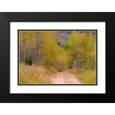 USA-Idaho-Highway 36 west of Liberty dirt road and Aspens in autumn Black Modern Wood Framed Art Print with Double Matting by Gulin, Sylvia