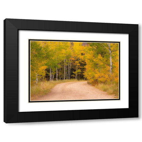 USA-Idaho-Highway 36 west of Liberty dirt road and Aspens in autumn Black Modern Wood Framed Art Print with Double Matting by Gulin, Sylvia