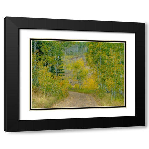 USA-Idaho-Highway 36 west of Liberty dirt road and Aspens in autumn Black Modern Wood Framed Art Print with Double Matting by Gulin, Sylvia