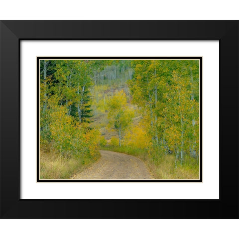 USA-Idaho-Highway 36 west of Liberty dirt road and Aspens in autumn Black Modern Wood Framed Art Print with Double Matting by Gulin, Sylvia