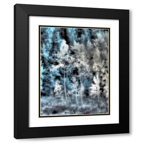 USA-Idaho-Aspens a with soft focus Black Modern Wood Framed Art Print with Double Matting by Eggers, Terry
