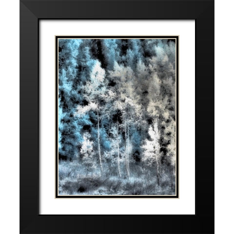 USA-Idaho-Aspens a with soft focus Black Modern Wood Framed Art Print with Double Matting by Eggers, Terry