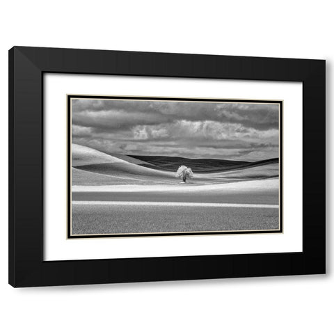 USA-Idaho-Palouse Country-Lone tree and Infrared Palouse fields Black Modern Wood Framed Art Print with Double Matting by Eggers, Terry