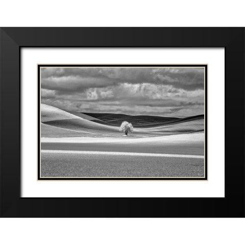 USA-Idaho-Palouse Country-Lone tree and Infrared Palouse fields Black Modern Wood Framed Art Print with Double Matting by Eggers, Terry