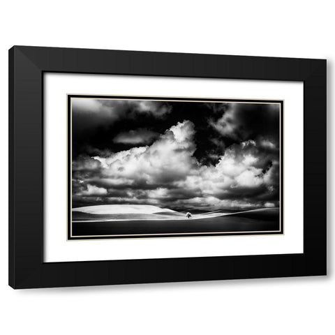 USA-Idaho-Palouse Country-Small tree in wheat field with Running light Black Modern Wood Framed Art Print with Double Matting by Eggers, Terry