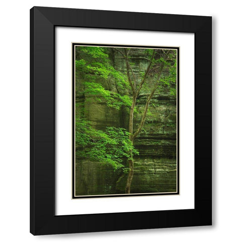 Kaskaskia Canyon-Starved Rock State Park-LaSalle County-Illinois Black Modern Wood Framed Art Print with Double Matting by Majchrowicz, Alan