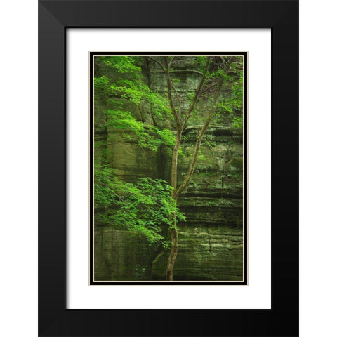 Kaskaskia Canyon-Starved Rock State Park-LaSalle County-Illinois Black Modern Wood Framed Art Print with Double Matting by Majchrowicz, Alan