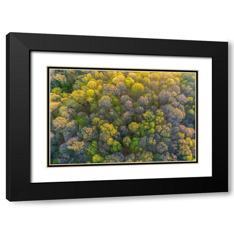 Aerial view of forest in spring-Marion County-Illinois Black Modern Wood Framed Art Print with Double Matting by Day, Richard and Susan