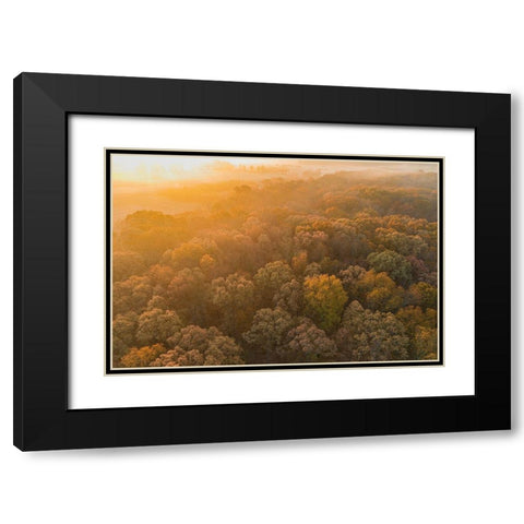 Aerial View of fall Color at sunrise-Marion County-Illinois Black Modern Wood Framed Art Print with Double Matting by Day, Richard and Susan