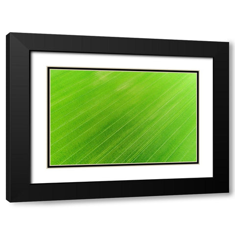 Aerial view of wheat field-Marion County-Illinois Black Modern Wood Framed Art Print with Double Matting by Day, Richard and Susan