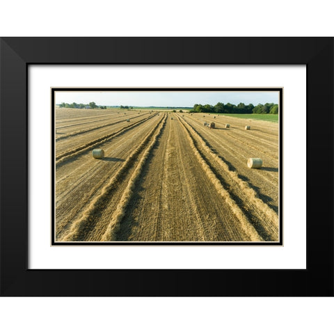 Aerial view of rows of wheat straw before baling and round bales-Marion County-Illinois Black Modern Wood Framed Art Print with Double Matting by Day, Richard and Susan