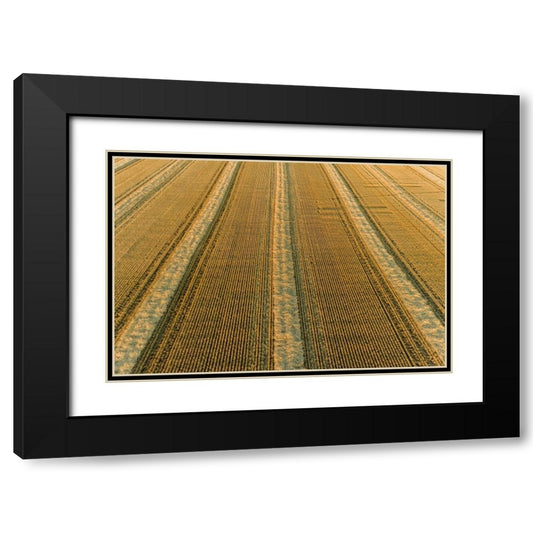 Perspective Image