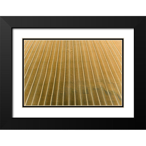 Aerial view of rows of wheat straw before baling-Marion County-Illinois Black Modern Wood Framed Art Print with Double Matting by Day, Richard and Susan