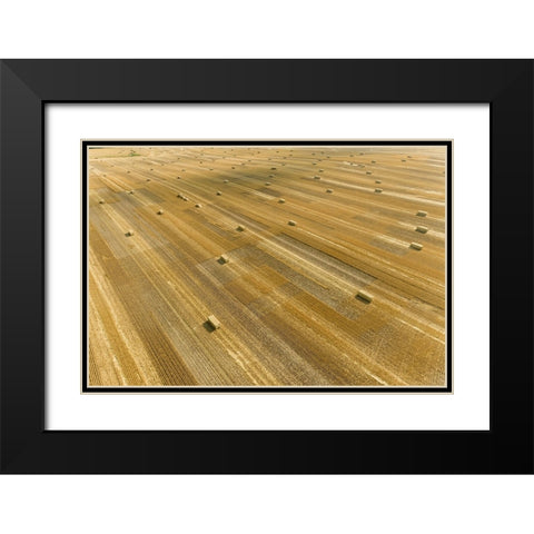 Aerial view of large square bales of wheat straw in field-Clay County-Illinois Black Modern Wood Framed Art Print with Double Matting by Day, Richard and Susan