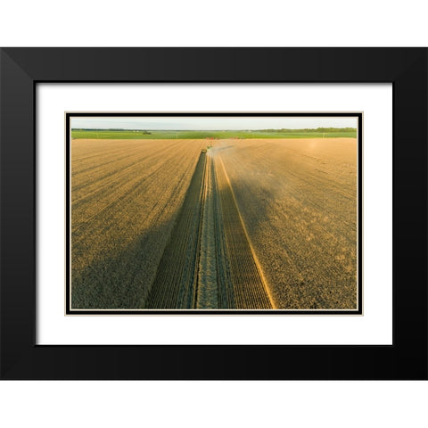 Aerial view of combine harvesting wheat at sunset-Marion County-Illinois Black Modern Wood Framed Art Print with Double Matting by Day, Richard and Susan