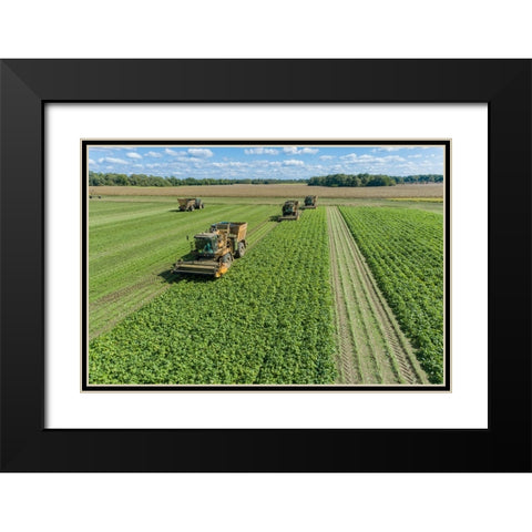 Picking green beans during the green bean harvest-Mason County-Illinois Black Modern Wood Framed Art Print with Double Matting by Day, Richard and Susan