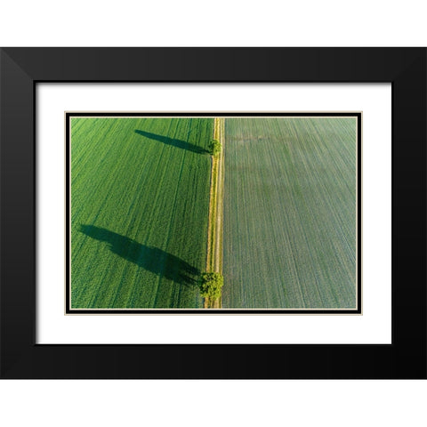 Two trees and shadows between fields-Marion County-Illinois Black Modern Wood Framed Art Print with Double Matting by Day, Richard and Susan