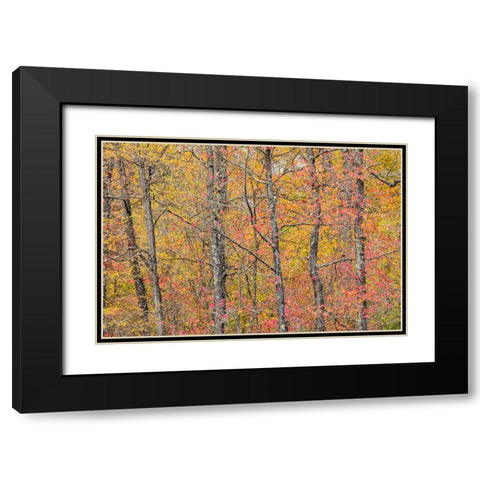 Fall color at Pyramid State Park-Perry County-Illinois Black Modern Wood Framed Art Print with Double Matting by Day, Richard and Susan