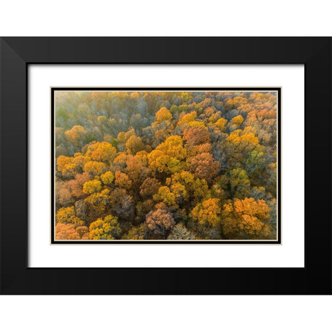 Aerial view of fall color-Marion County-Illinois Black Modern Wood Framed Art Print with Double Matting by Day, Richard and Susan