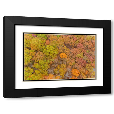 Aerial view of fall color-Marion County-Illinois Black Modern Wood Framed Art Print with Double Matting by Day, Richard and Susan