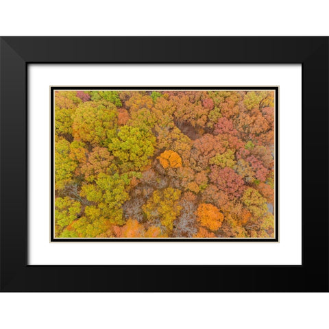 Aerial view of fall color-Marion County-Illinois Black Modern Wood Framed Art Print with Double Matting by Day, Richard and Susan