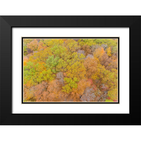 Aerial view of fall color-Marion County-Illinois Black Modern Wood Framed Art Print with Double Matting by Day, Richard and Susan