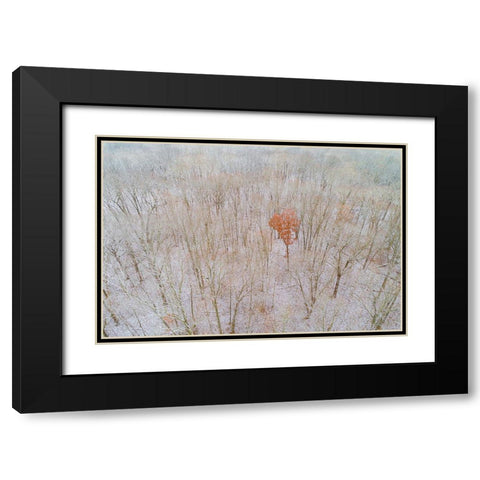 Aerial view of a fresh snow over the forest-Marion County-Illinois Black Modern Wood Framed Art Print with Double Matting by Day, Richard and Susan