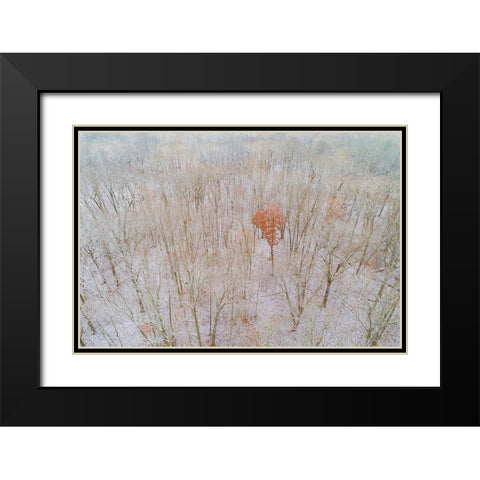 Aerial view of a fresh snow over the forest-Marion County-Illinois Black Modern Wood Framed Art Print with Double Matting by Day, Richard and Susan