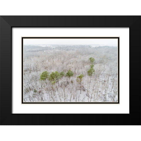 Aerial view of a fresh snow over the forest-Marion County-Illinois Black Modern Wood Framed Art Print with Double Matting by Day, Richard and Susan