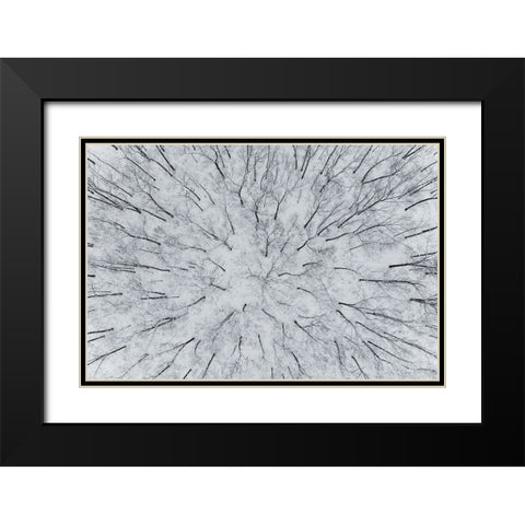Aerial view of woods after a snowfall-Marion County-Illinois Black Modern Wood Framed Art Print with Double Matting by Day, Richard and Susan
