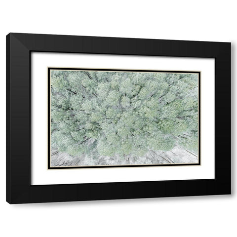 Aerial view of woods and white pine trees after a snowfall-Marion County-Illinois Black Modern Wood Framed Art Print with Double Matting by Day, Richard and Susan