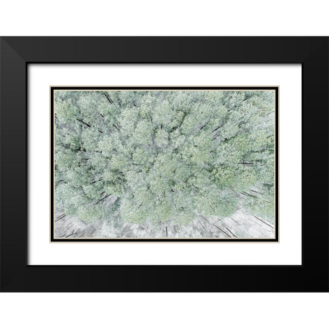 Aerial view of woods and white pine trees after a snowfall-Marion County-Illinois Black Modern Wood Framed Art Print with Double Matting by Day, Richard and Susan