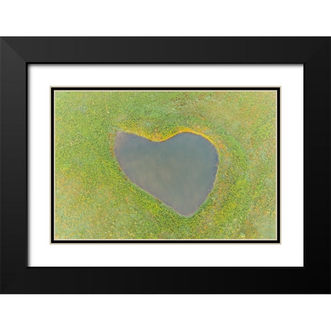Heart shaped pond-Marion County-Illinois Black Modern Wood Framed Art Print with Double Matting by Day, Richard and Susan
