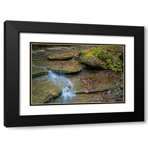 Rocky Ledges with Waterfall in Clifty Creek Park-Indiana Black Modern Wood Framed Art Print with Double Matting by Miller, Anna
