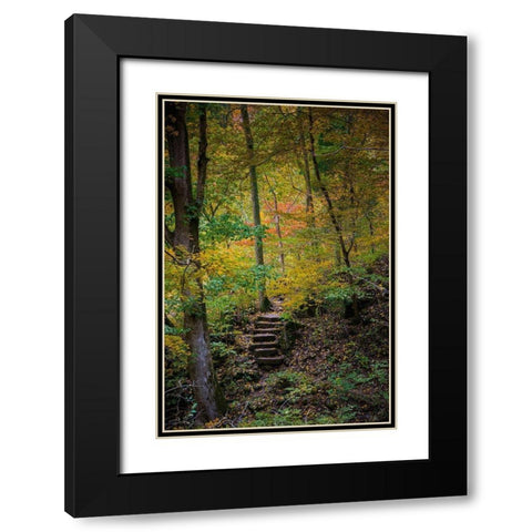 Trail Steps in Clifty Creek Park-Southern Indiana Black Modern Wood Framed Art Print with Double Matting by Miller, Anna