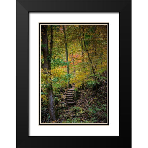 Trail Steps in Clifty Creek Park-Southern Indiana Black Modern Wood Framed Art Print with Double Matting by Miller, Anna