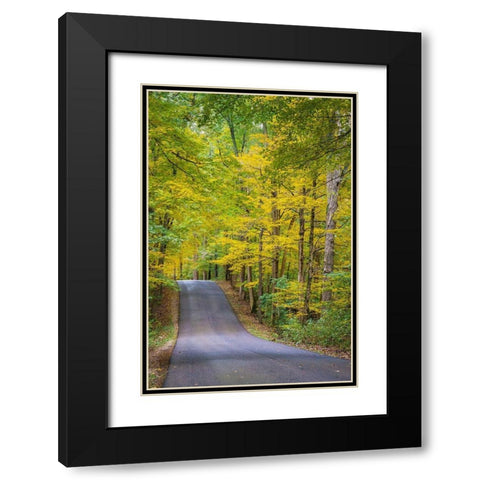 Curvy Road in Clifty Creek Park-Southern Indiana Black Modern Wood Framed Art Print with Double Matting by Miller, Anna